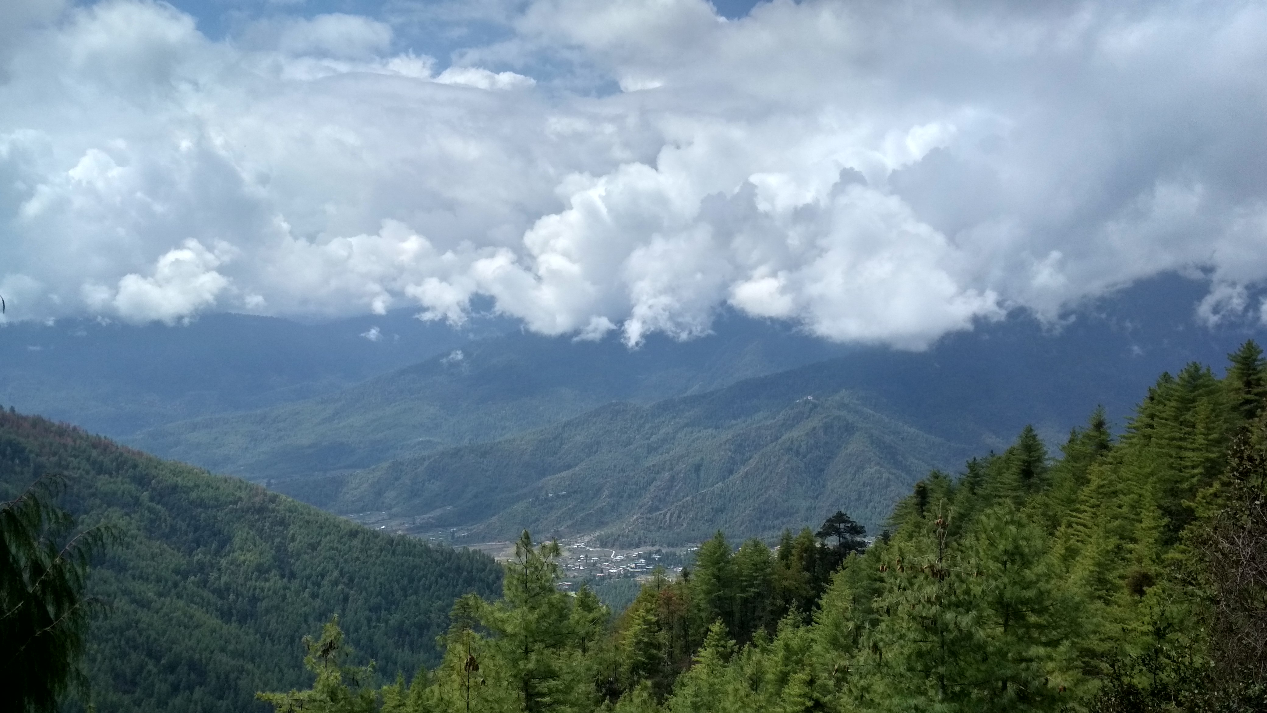 Mountain valley with forested slopes and clouds